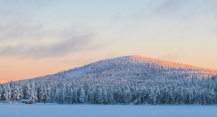 Finse natuur en bossen